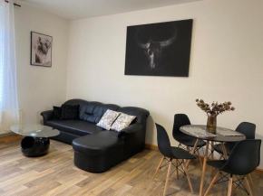 Apartmány Černý Tulipán #2, Plzen